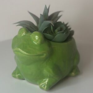 Ceramic Frog Decor With Faux Succulents NWT
